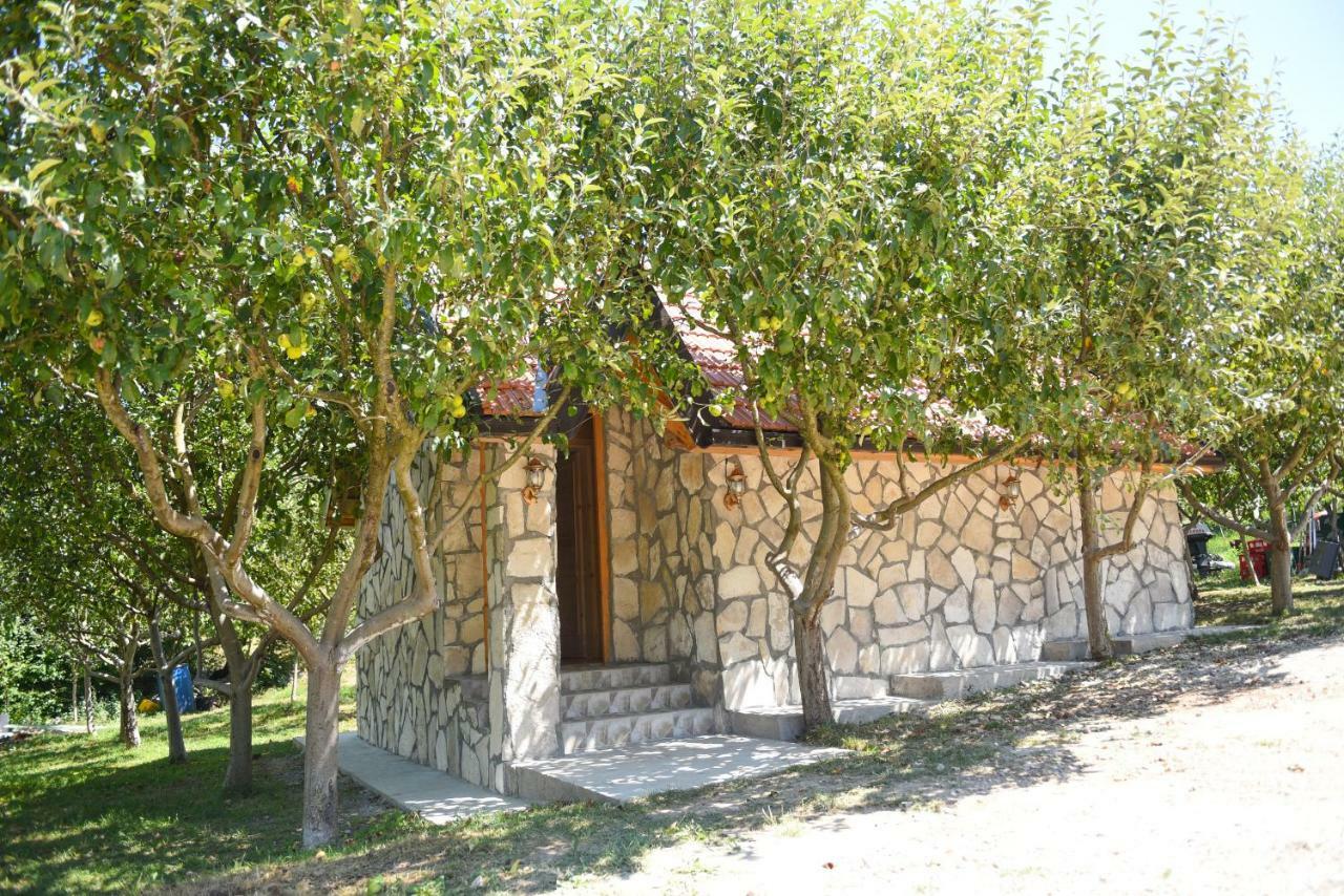 Apartmani Kod Draskovica Nikšić Buitenkant foto
